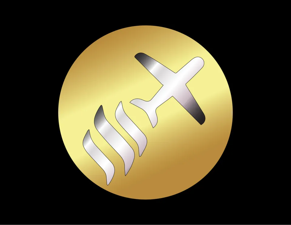 stj domzz-01.png