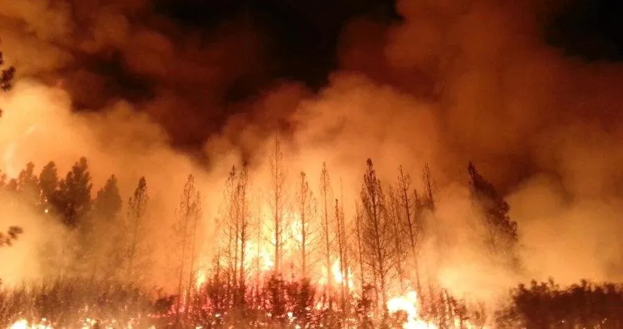 Fire_small.jpg