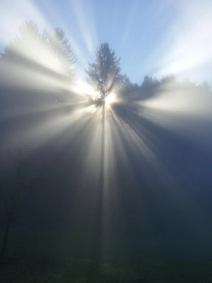 fog-524071_1920.jpg