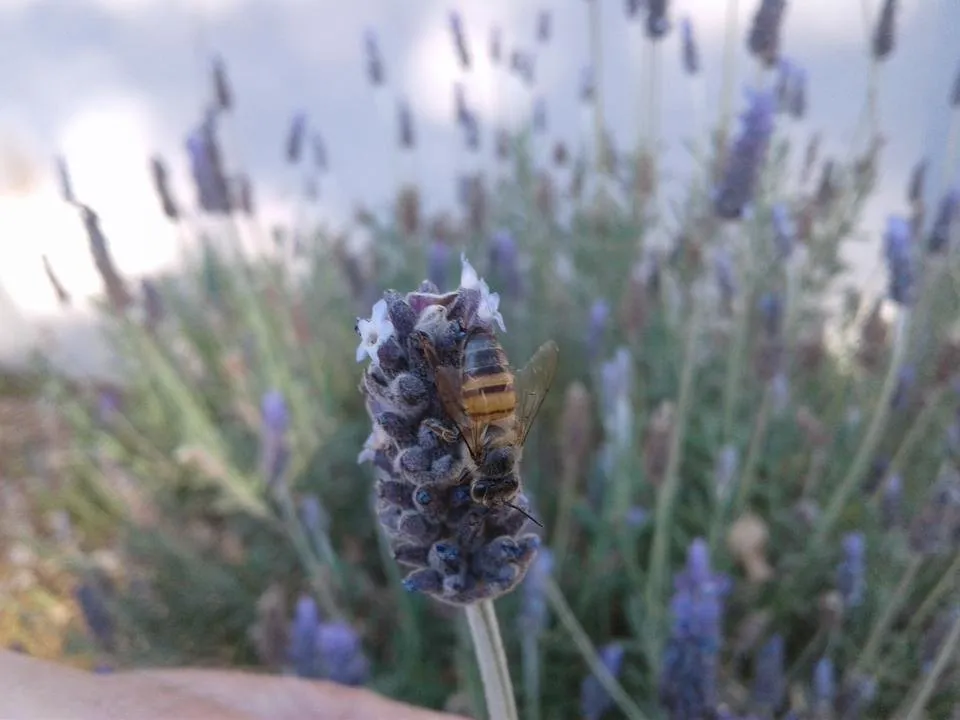 20190716_155636.jpg