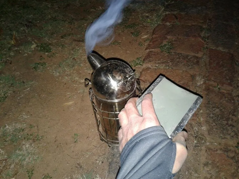 20181022_200407.jpg