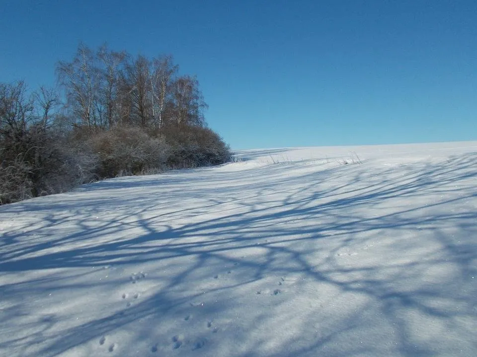 DSCN3165.JPG
