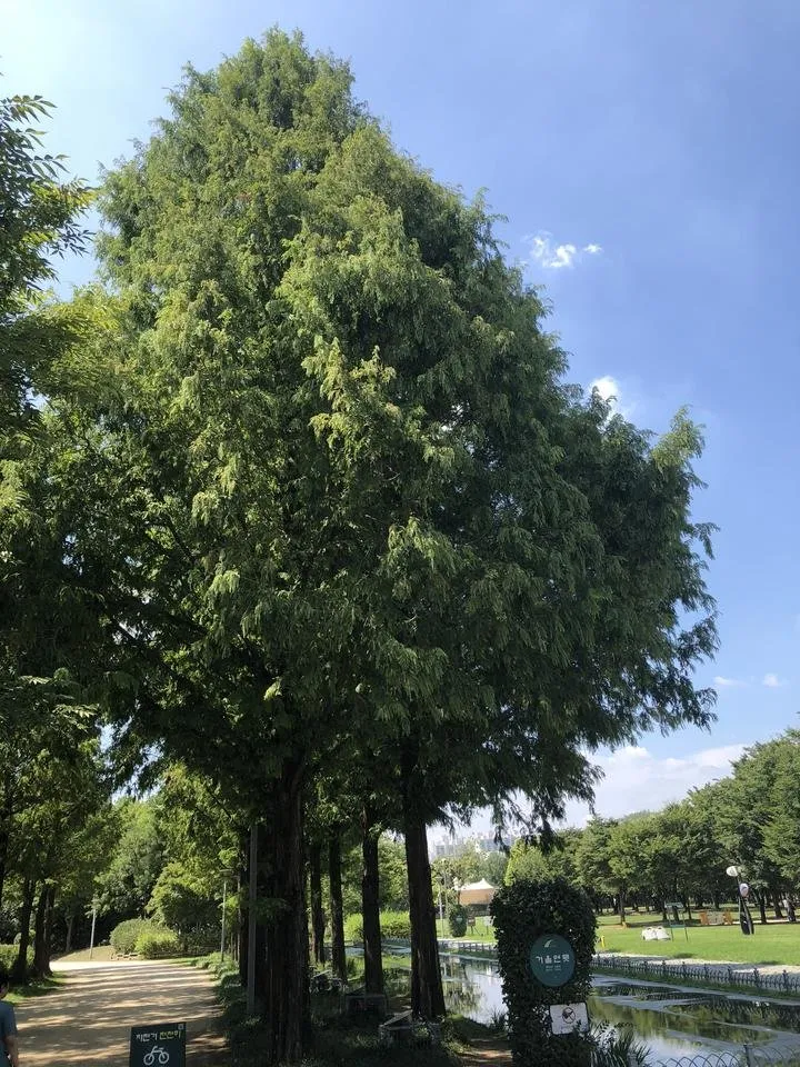 사진 2018. 8. 31. 오후 1 30 04.jpg