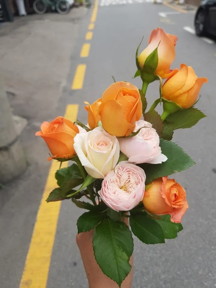 20190626_123727.jpg