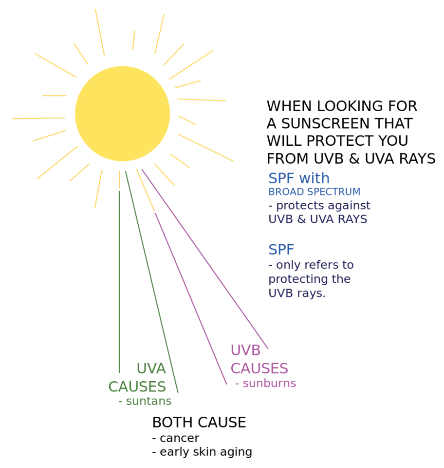 973px-Sun_rays_diagram.svg.png