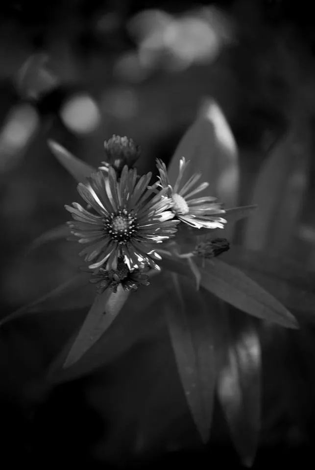 DSC_0762.jpg