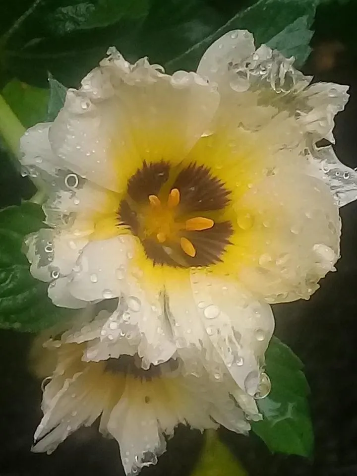 20180903_175604.jpg