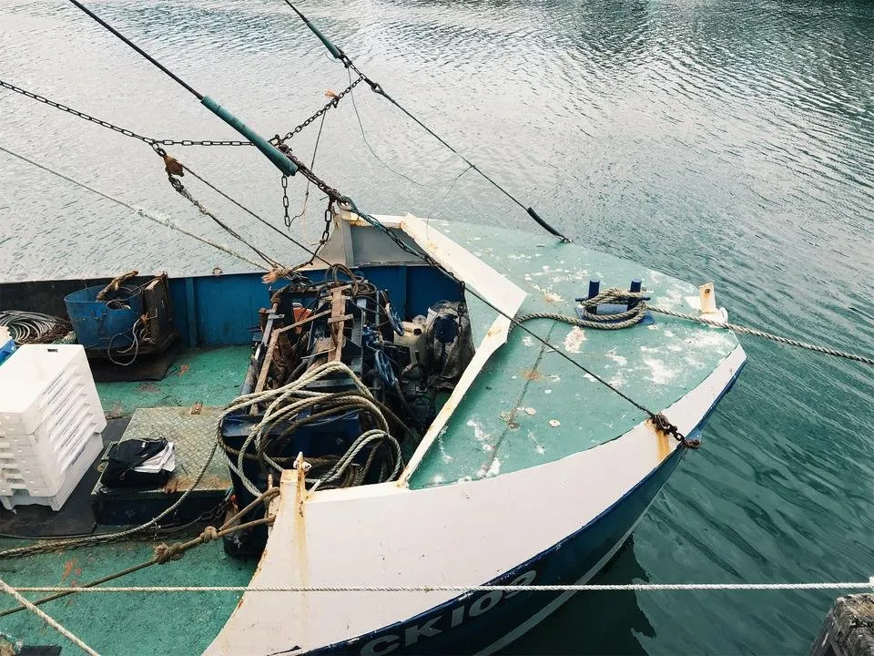 JPEG image-8A0B30A274C6-6.jpeg