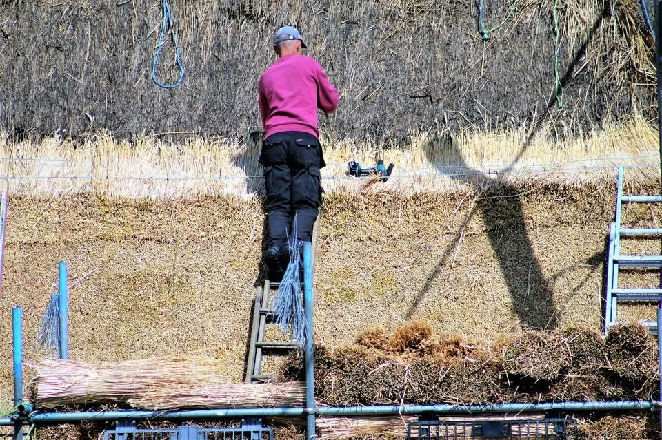 thatcher at work.jpg