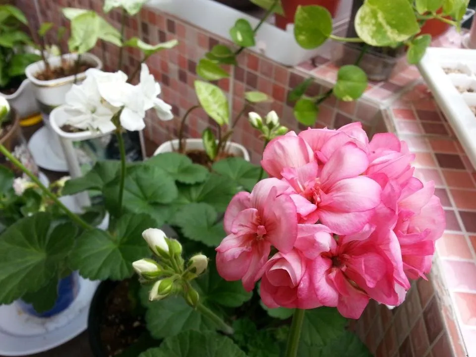 20140411_153344.jpg