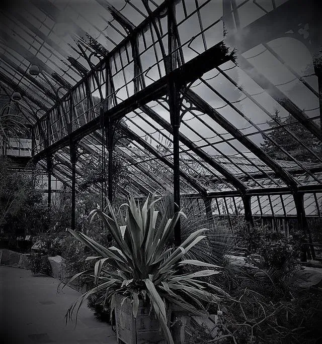 glasshouse.jpg