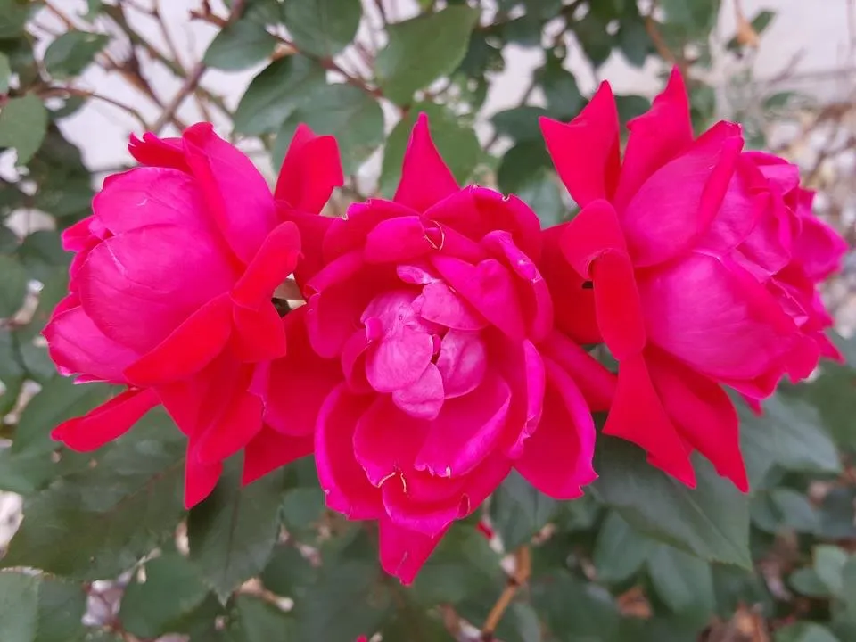 20190515_162400.jpg