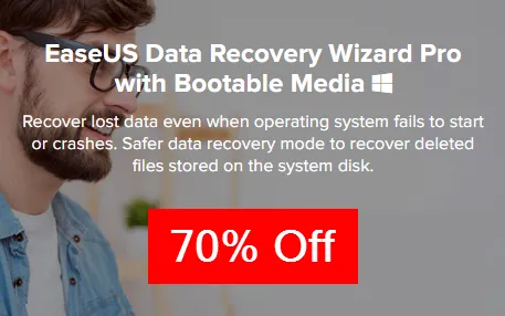 EaseUS Data Recovery Wizard WinPE-sc4.png