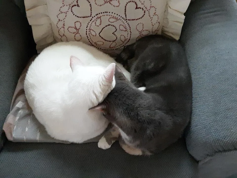 20190501_090440.jpg