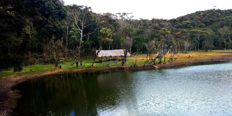 P_20190203_120716.jpg