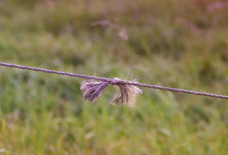 wire-3280588_1280.jpg