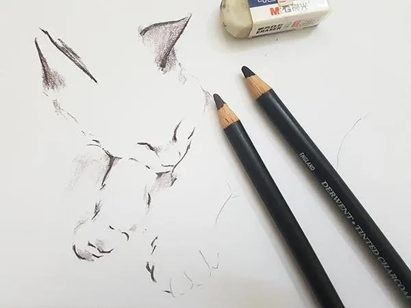 Cats02a.jpg