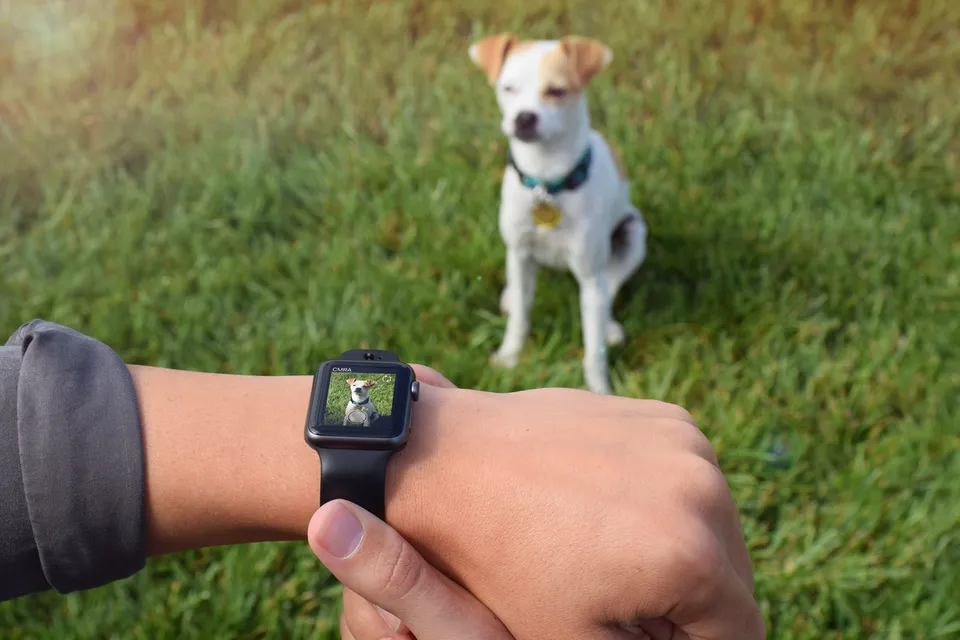 CMRA_20Apple_20Watch_20camera.0.png