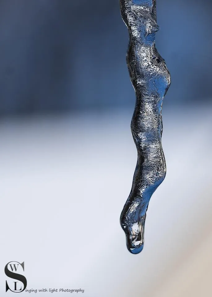 1 Icicles and testing out the new lens-2.jpg