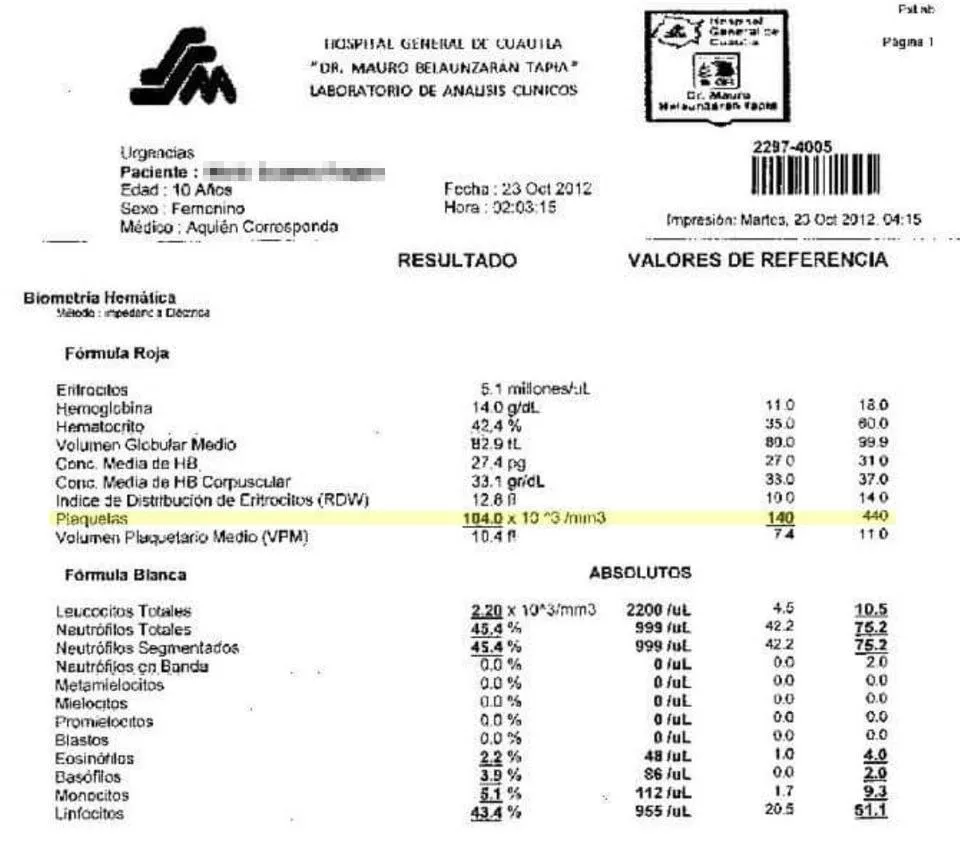 dengue 1.jpg