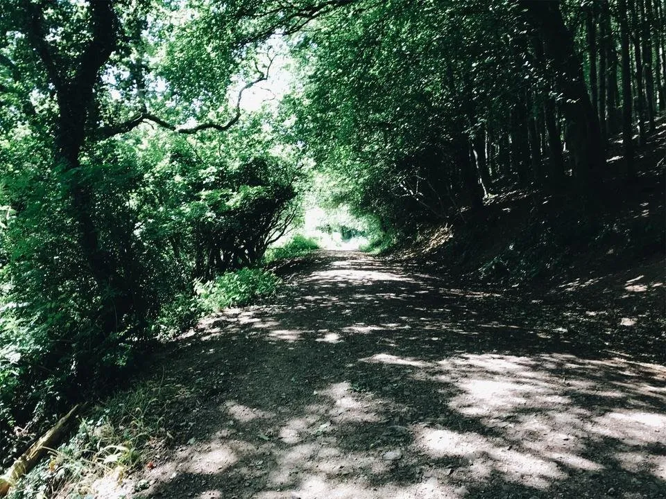 JPEG image-6DCE7F4411E8-6.jpeg