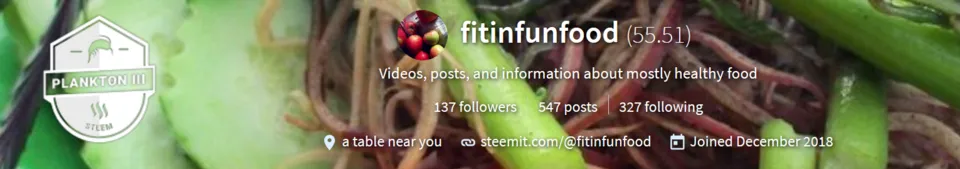 fitinfunfood cover Feb 20 2019.PNG