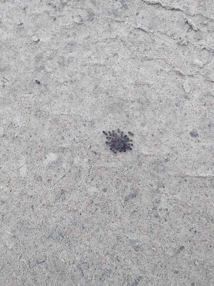 IMG20180706082238.jpg