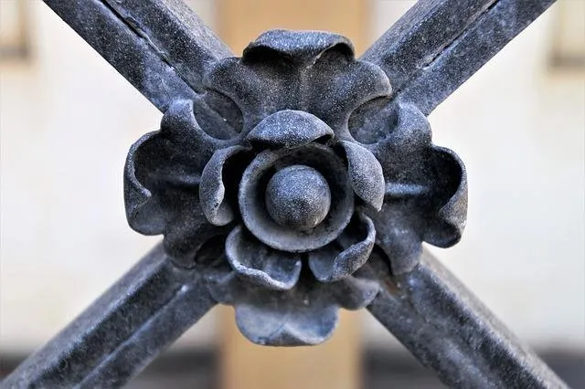 closeup-3138026_640.jpg