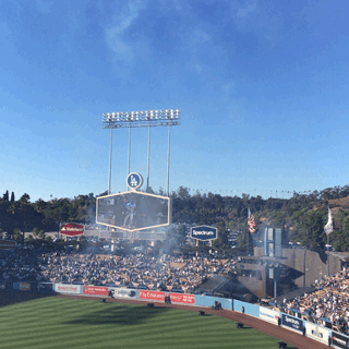8C932F4B-6054-49AB-8947-533E71034C07.gif