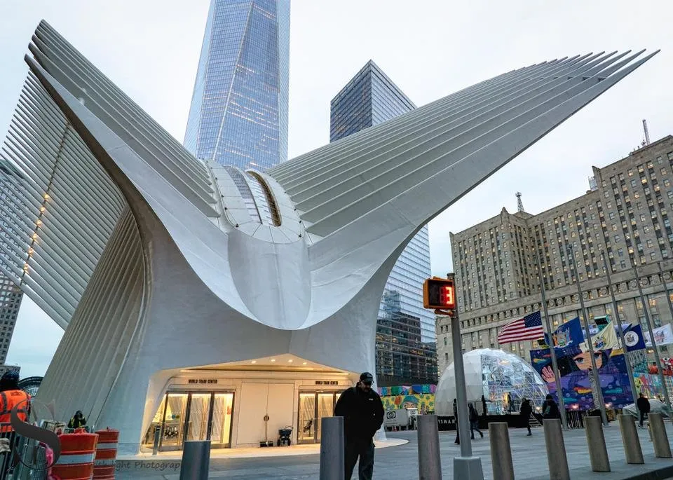 1 the Occulus-2.jpg