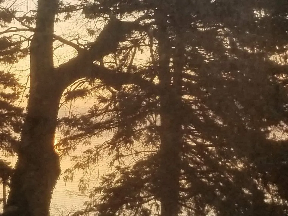 20190105_082220.jpg