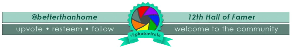 PC-HOF-@betterthanhome.png