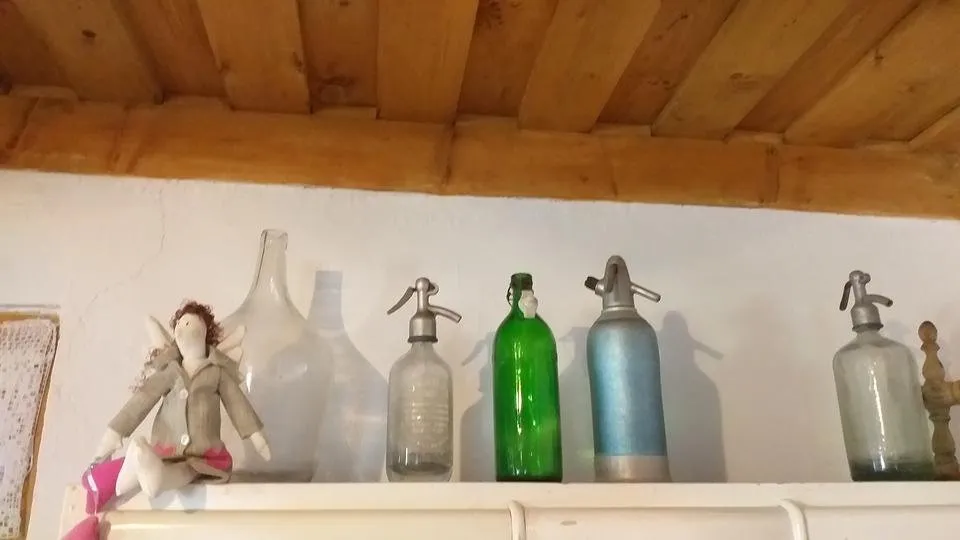 20190803_103231.jpg
