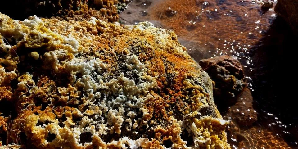 P_20190127_090518.jpg