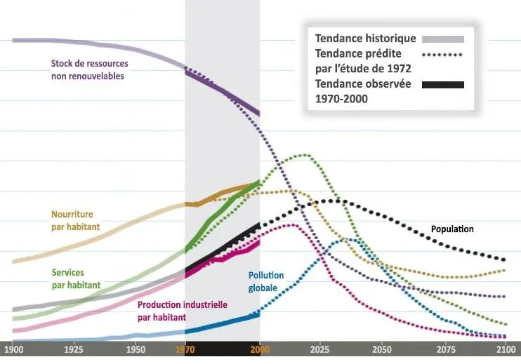 meadows-graphique-tendances.jpg