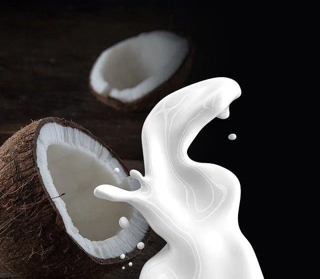 coconut-milk-1623611_640.jpg