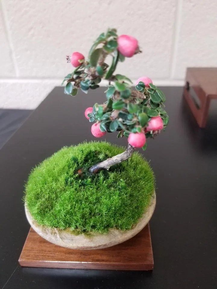 20190915_140405.jpg