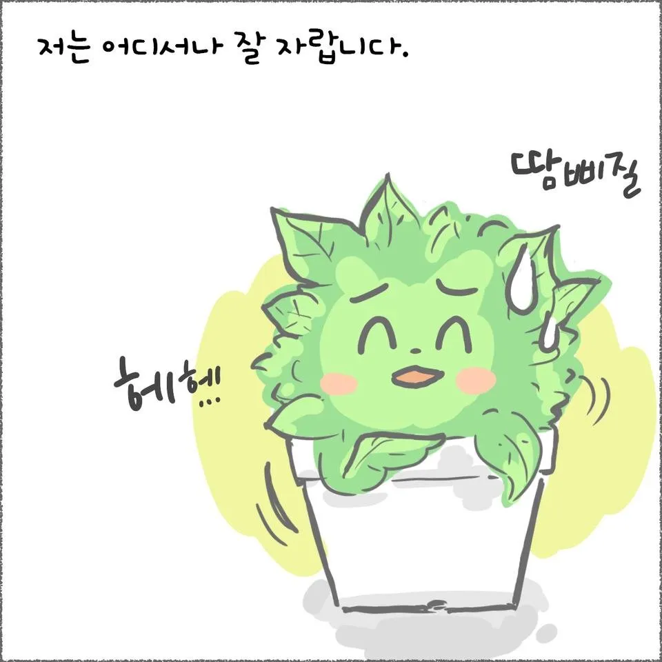 blog07_11.jpg