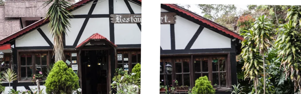 mosaico2.png