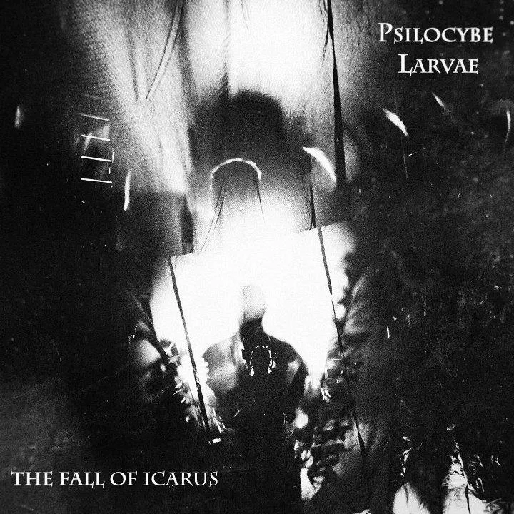 Psilocybe Larvae - The Fall Of Icarus.jpg