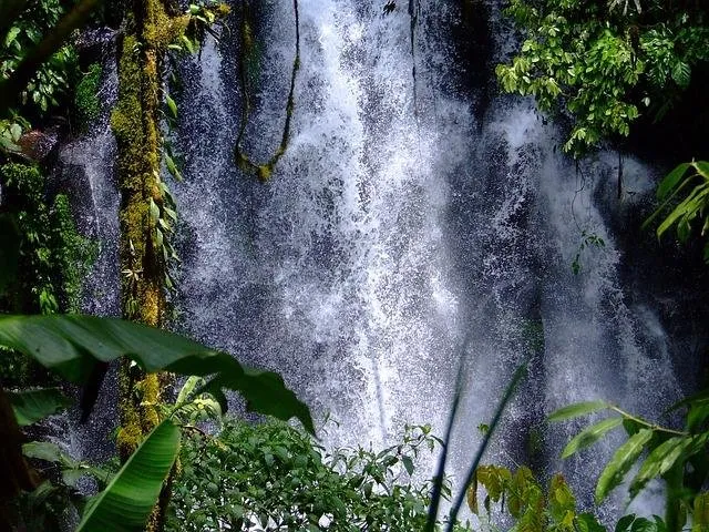 waterfalls-916567_640.jpg