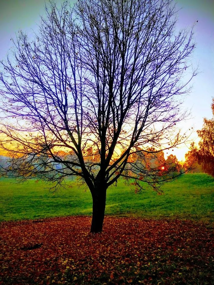 IMG_20181017_080117-EFFECTS-EFFECTS.jpg