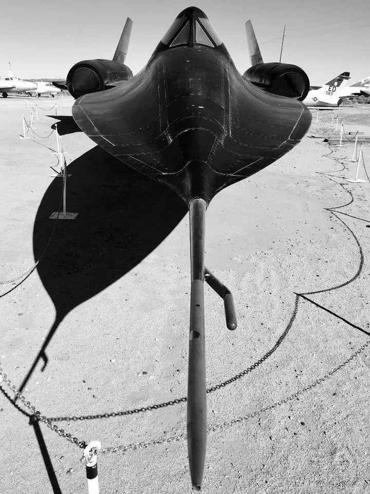 blackbird.jpg