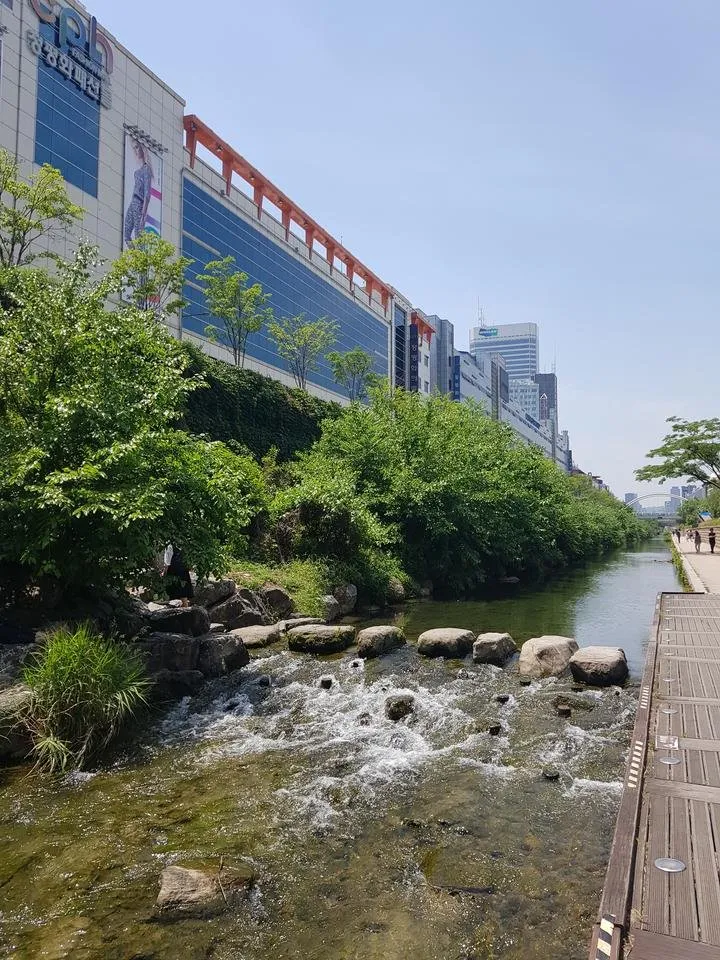 20190529_123543.jpg
