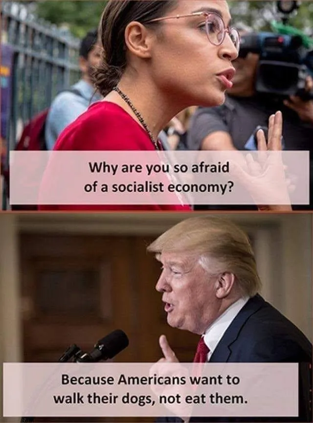 socialism dog.jpg