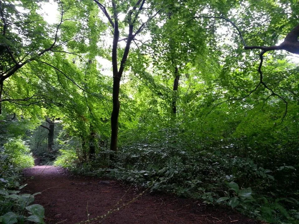 20130907_133527.jpg