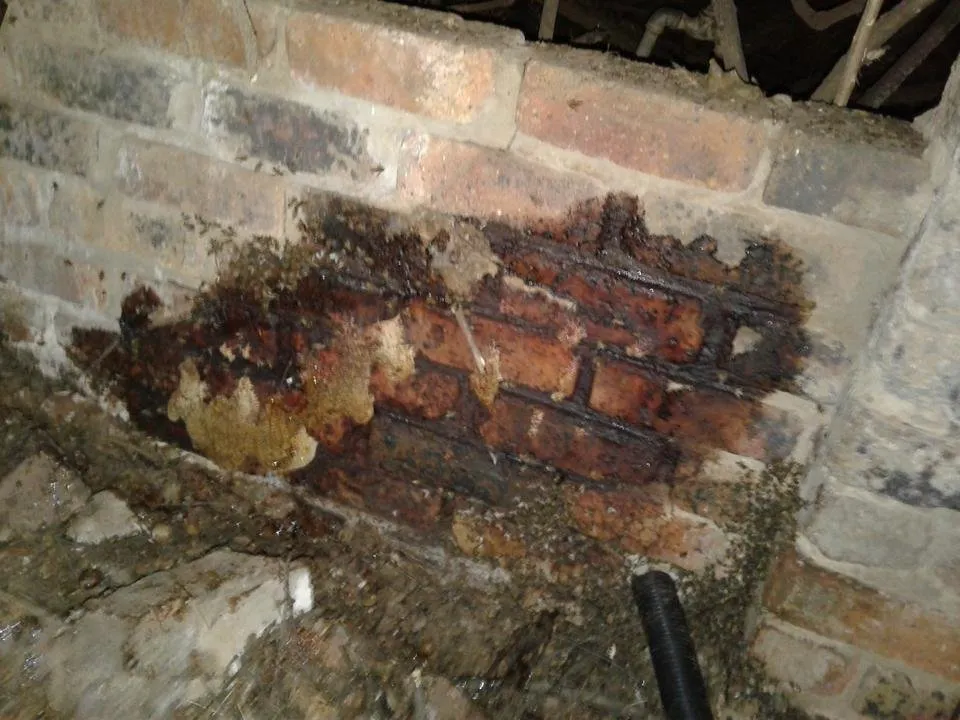 20190306_203959.jpg