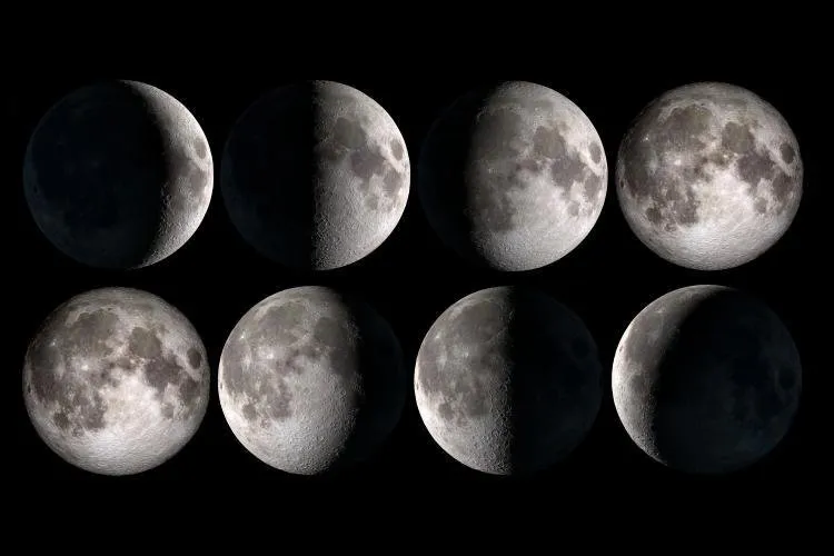 lunar-cycle.jpg