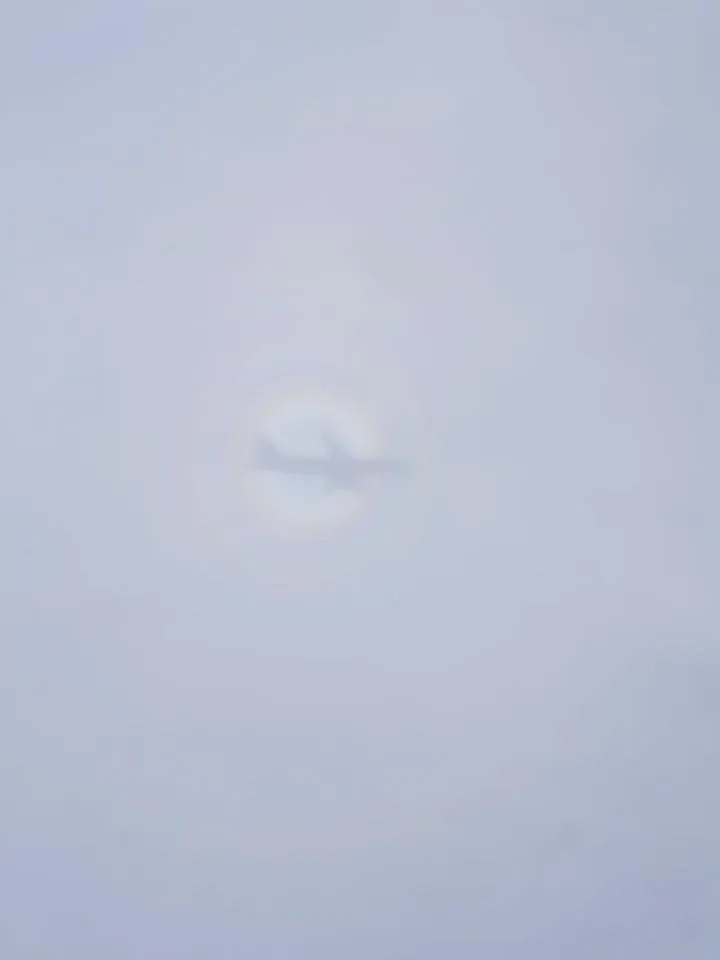 1557640731169.jpg