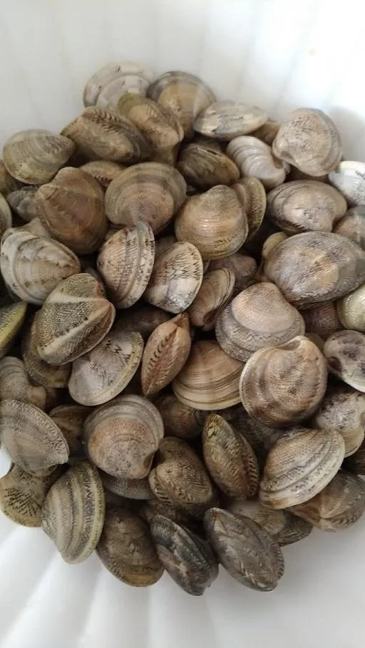 12_strangozzi-pesce-verdure.jpg
